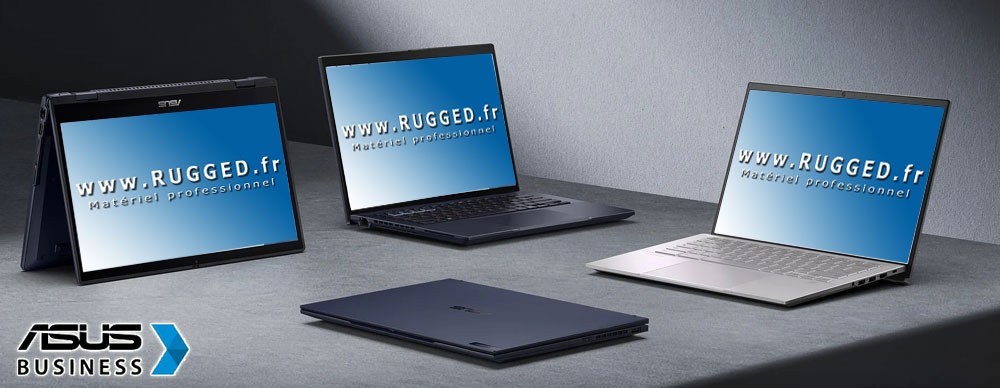 Asus PRO ExpertBook B5